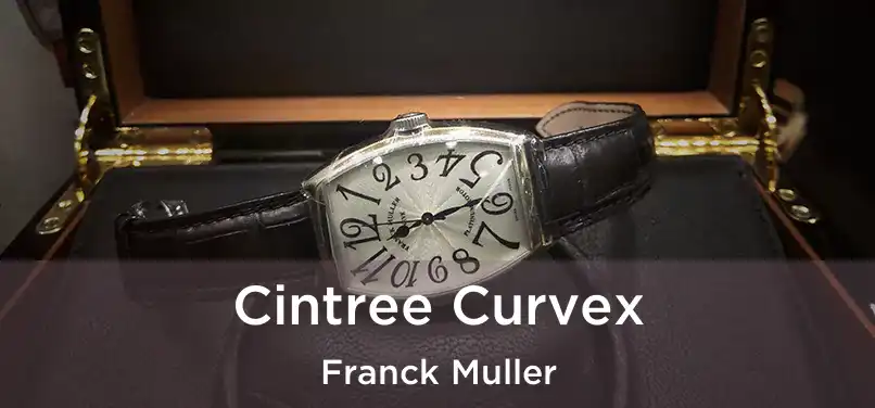  Cintree Curvex Franck Muller